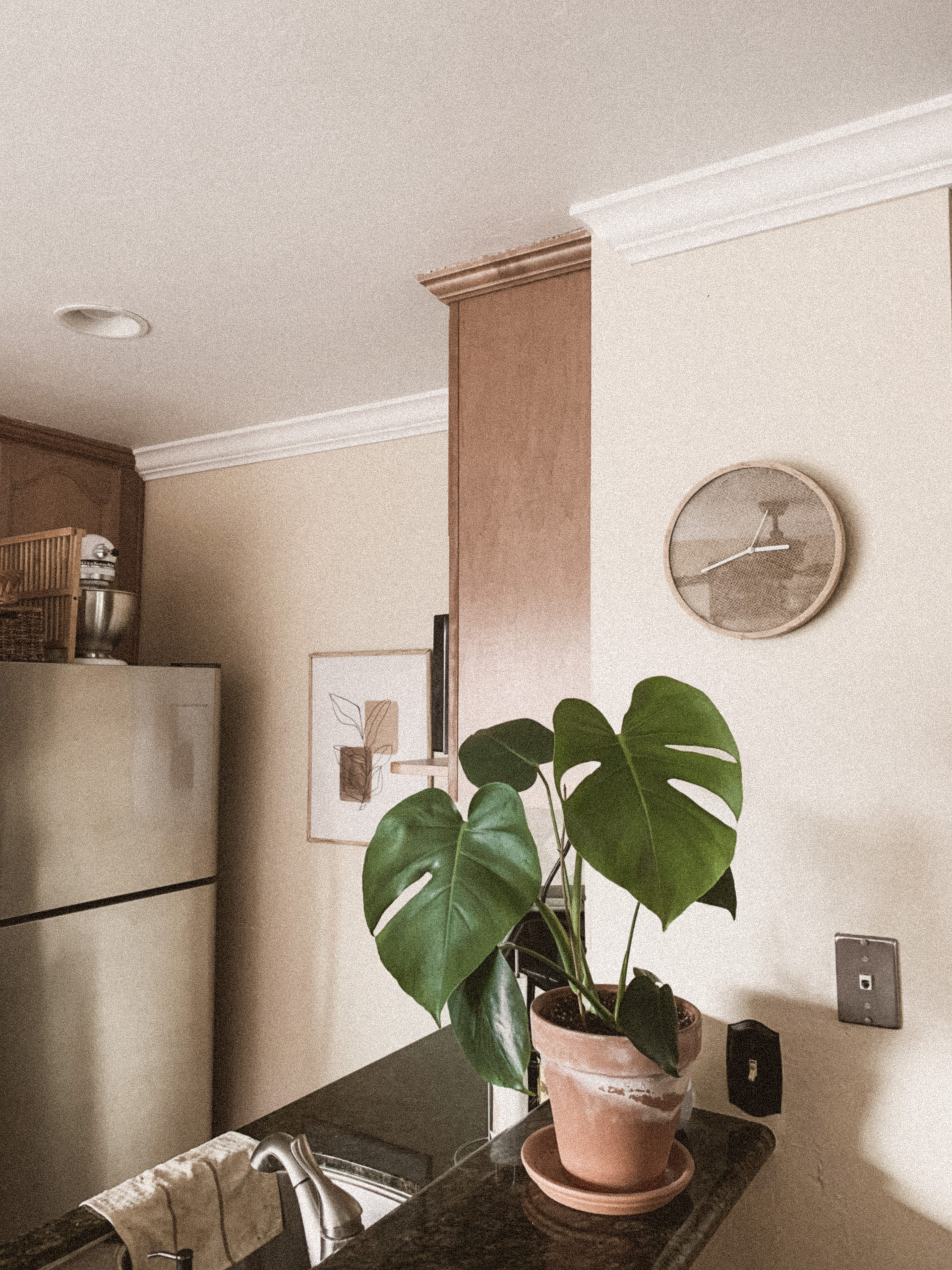 Finished clock, wide shot with clock on wall and monstera beneath it.