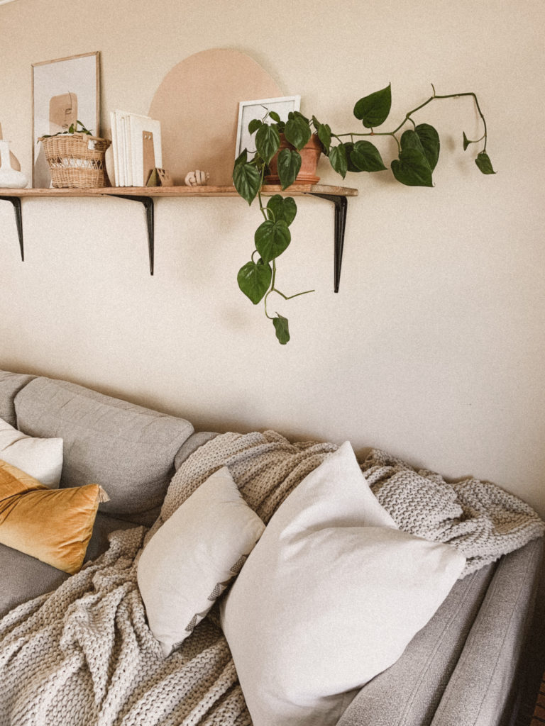 Mid century modern living room with wood shelf above it. Plants, books, and other boho decor accent it.